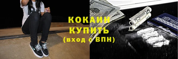 трава Инта