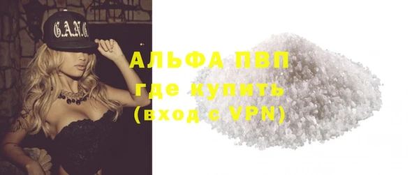 трава Инта