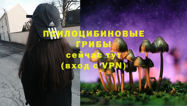 прущие крисы Иннополис