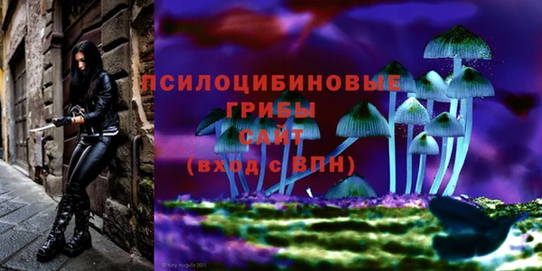 трава Инта
