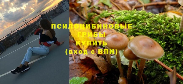 трава Инта