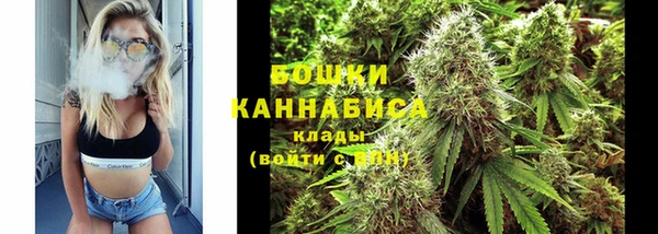 трава Инта
