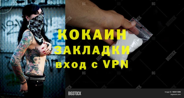 трава Инта