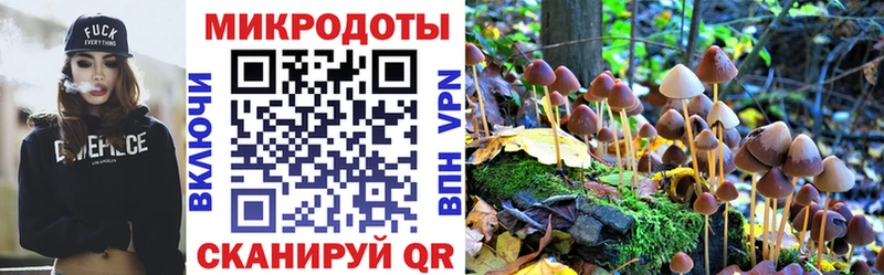 Галлюциногенные грибы MAGIC MUSHROOMS  Купить закладки  Болхов 